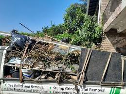 Trusted Eagle Pass, TX Junk Removal Services Experts